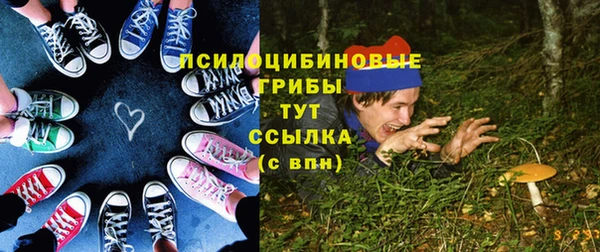 не бодяженный Аркадак