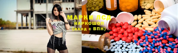 гашик Арсеньев