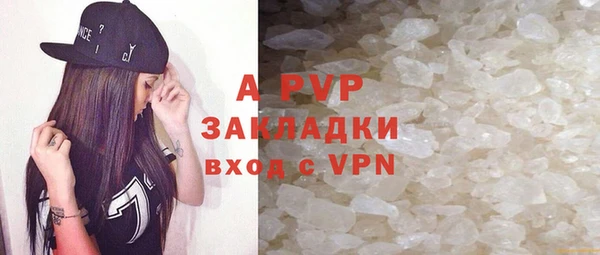 гашик Арсеньев