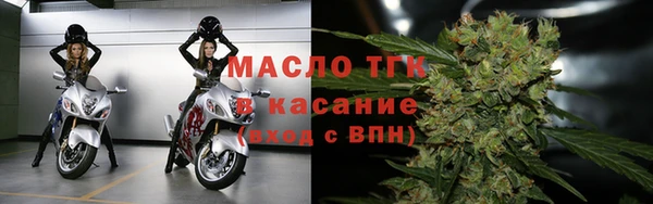 гашик Арсеньев