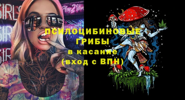 гидропоника Армянск