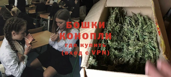гашик Арсеньев