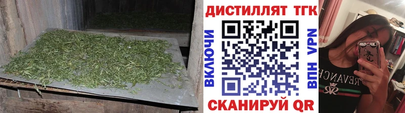 где купить наркоту  Приозерск  Дистиллят ТГК жижа 
